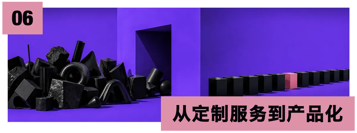 06 从定制服务到产品化